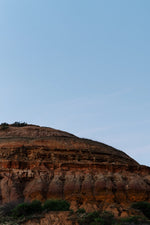Load image into Gallery viewer, Etikette - Eco Reed Diffuser 200ml - Larapinta in Sandalwood And Pepperberry
