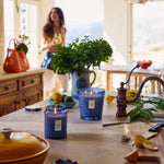 Load image into Gallery viewer, Voluspa - Meditrranean Lemon 100hr Burn Candle
