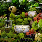 Load image into Gallery viewer, Voluspa - Dec Tin Panjore Lychee
