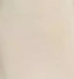 Load image into Gallery viewer, Tani - Regular Scoop Top L/S - Nude
